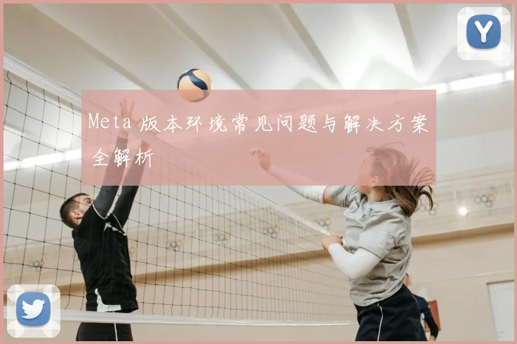 Meta 版本环境常见问题与解决方案全解析