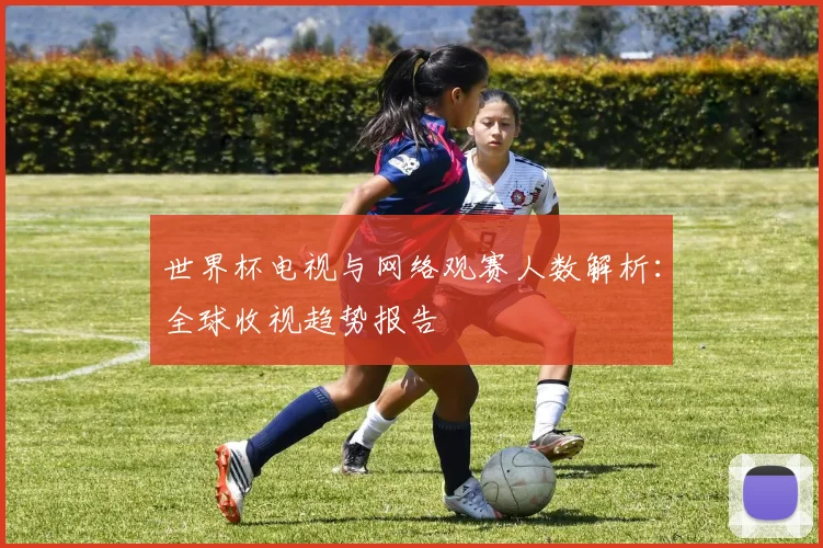 世界杯电视与网络观赛人数解析：全球收视趋势报告