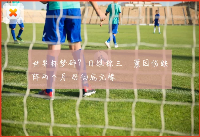 世界杯梦碎？日媒称三笘薰因伤缺阵两个月 恐彻底无缘